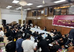 הגלריה השבועית מבית משיח: פרשת בא